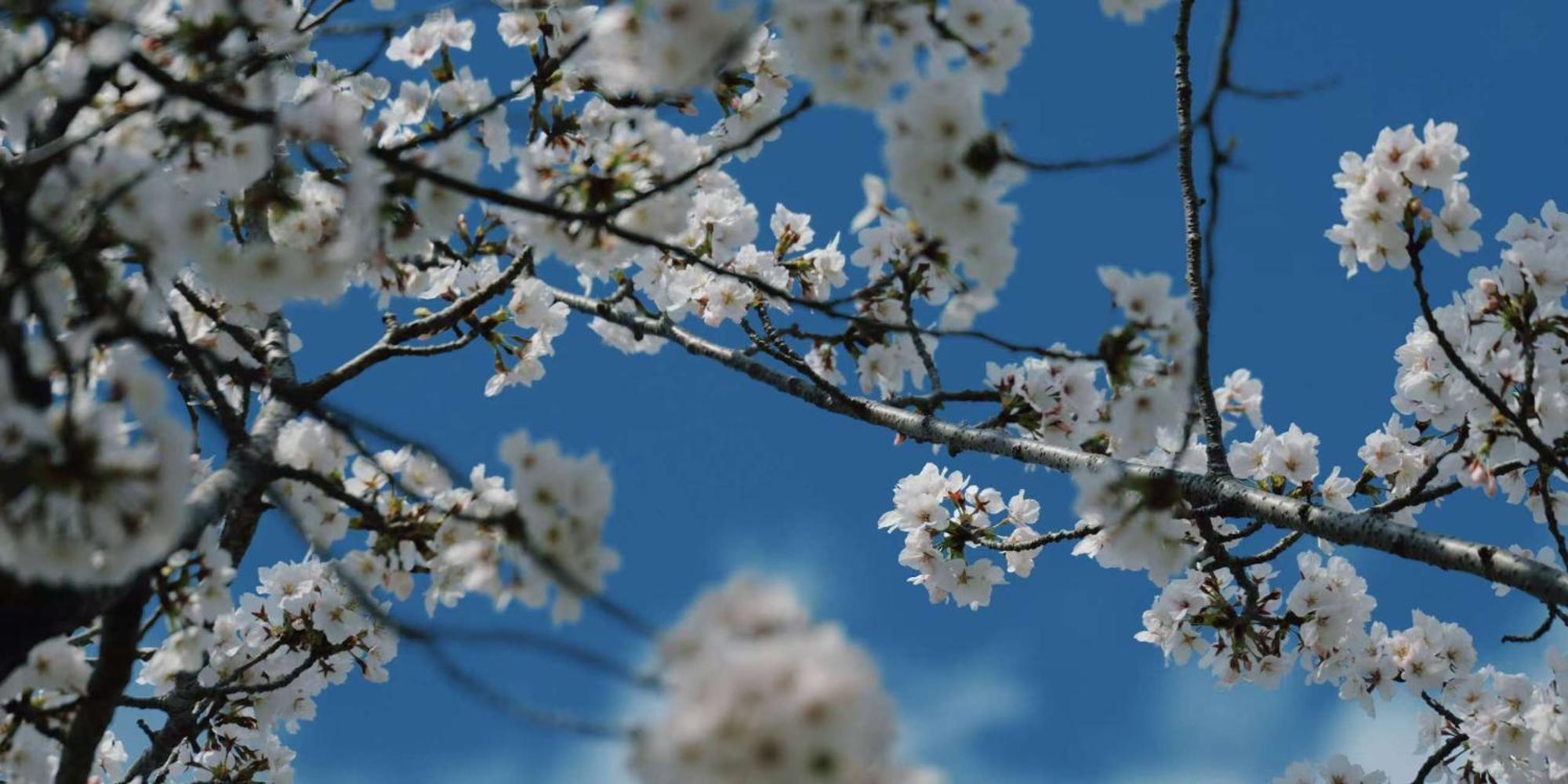 Вилла - 森麟社 - 新築戸建 Moririnsha Japanese Style Киото Экстерьер фото