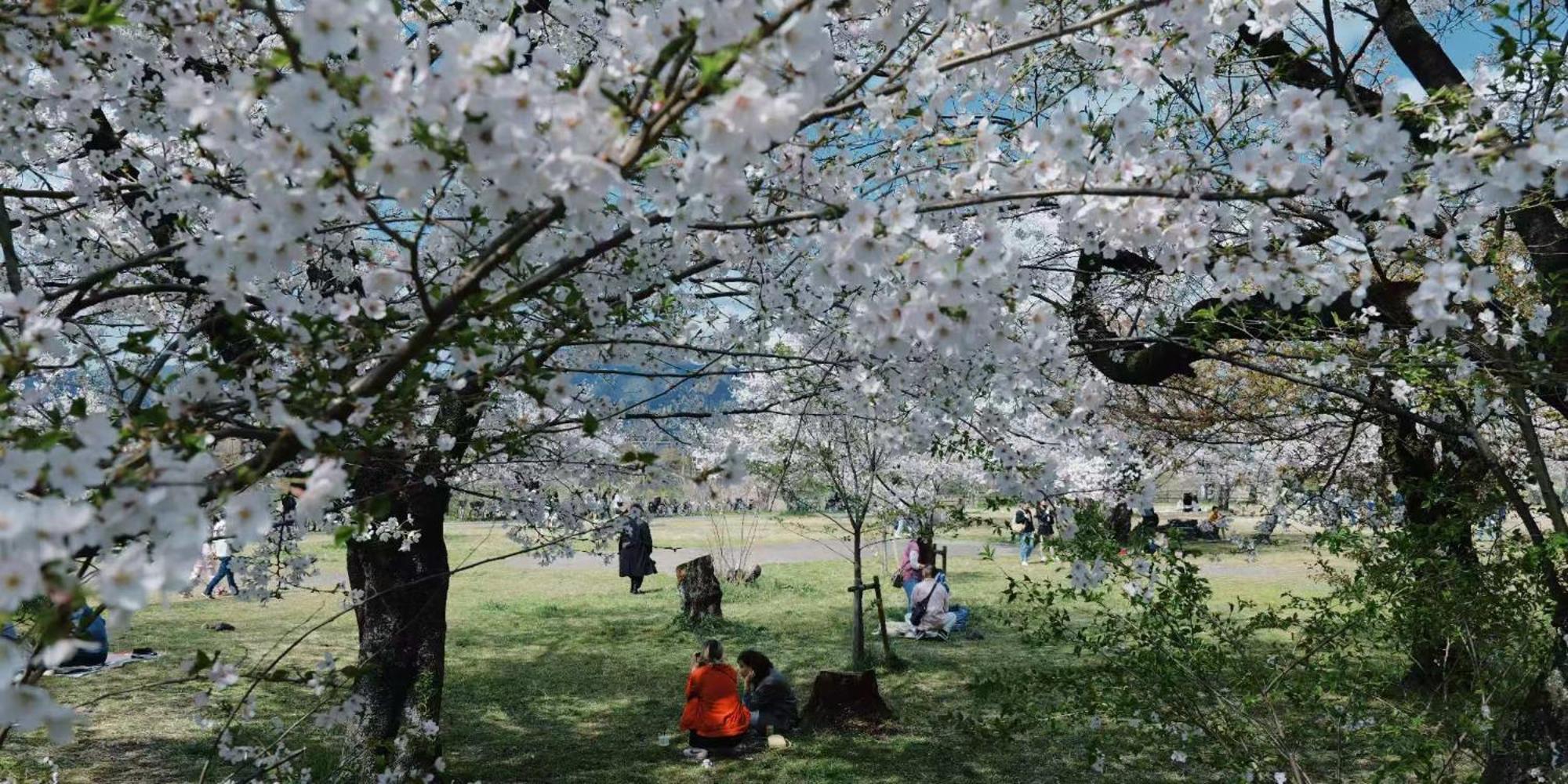 Вилла - 森麟社 - 新築戸建 Moririnsha Japanese Style Киото Экстерьер фото